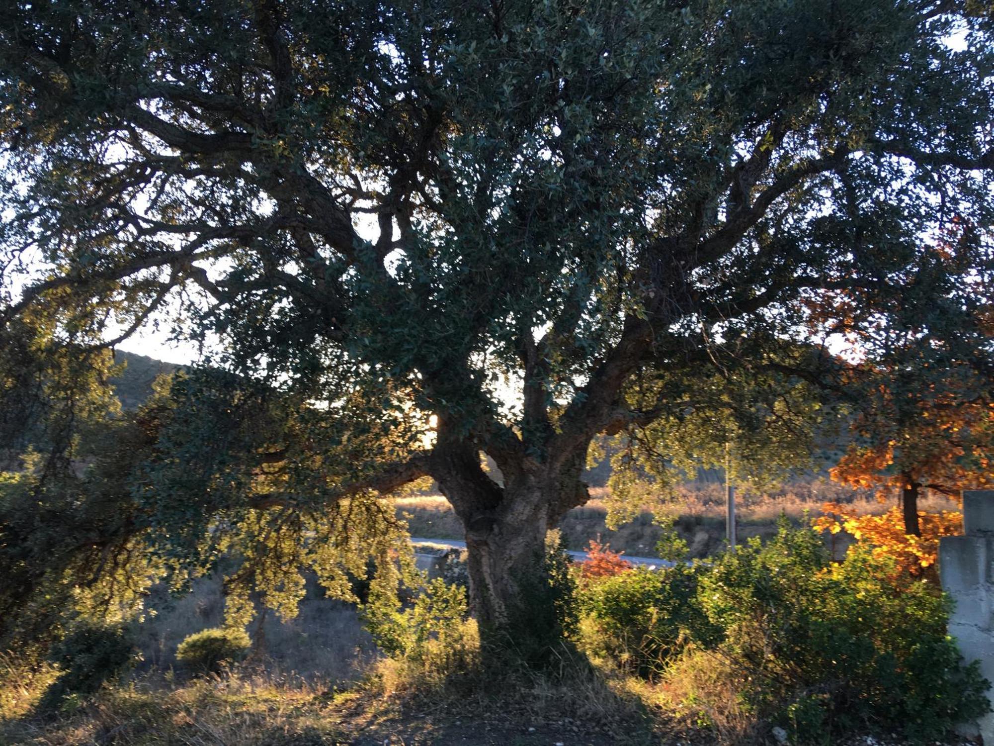 Coeur De Nature Rasigueres ภายนอก รูปภาพ