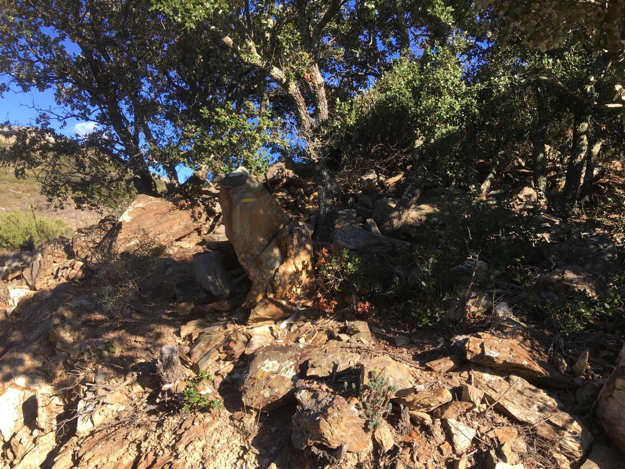 Coeur De Nature Rasigueres ภายนอก รูปภาพ